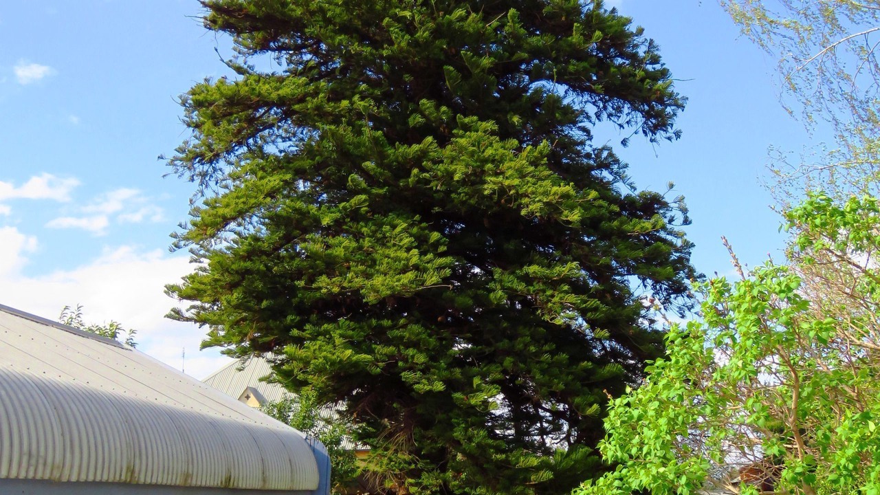 Photo of Outdoor in Cohuna
