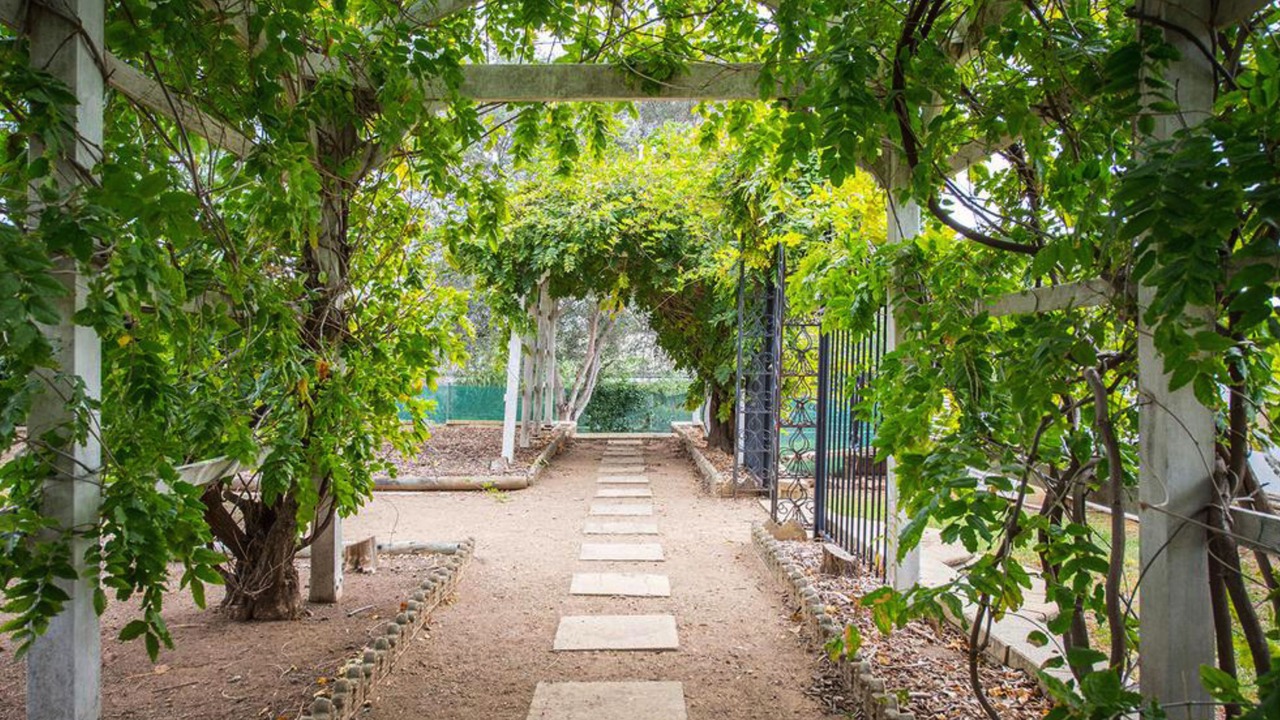 Photo of Outdoor in Scone