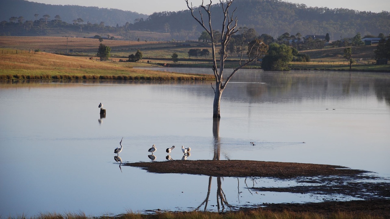 Photo of Outdoor in Lochinvar