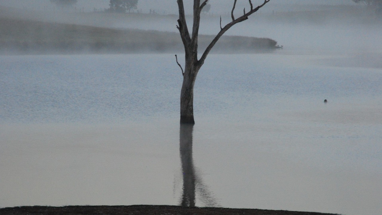 Photo of Others in Lochinvar