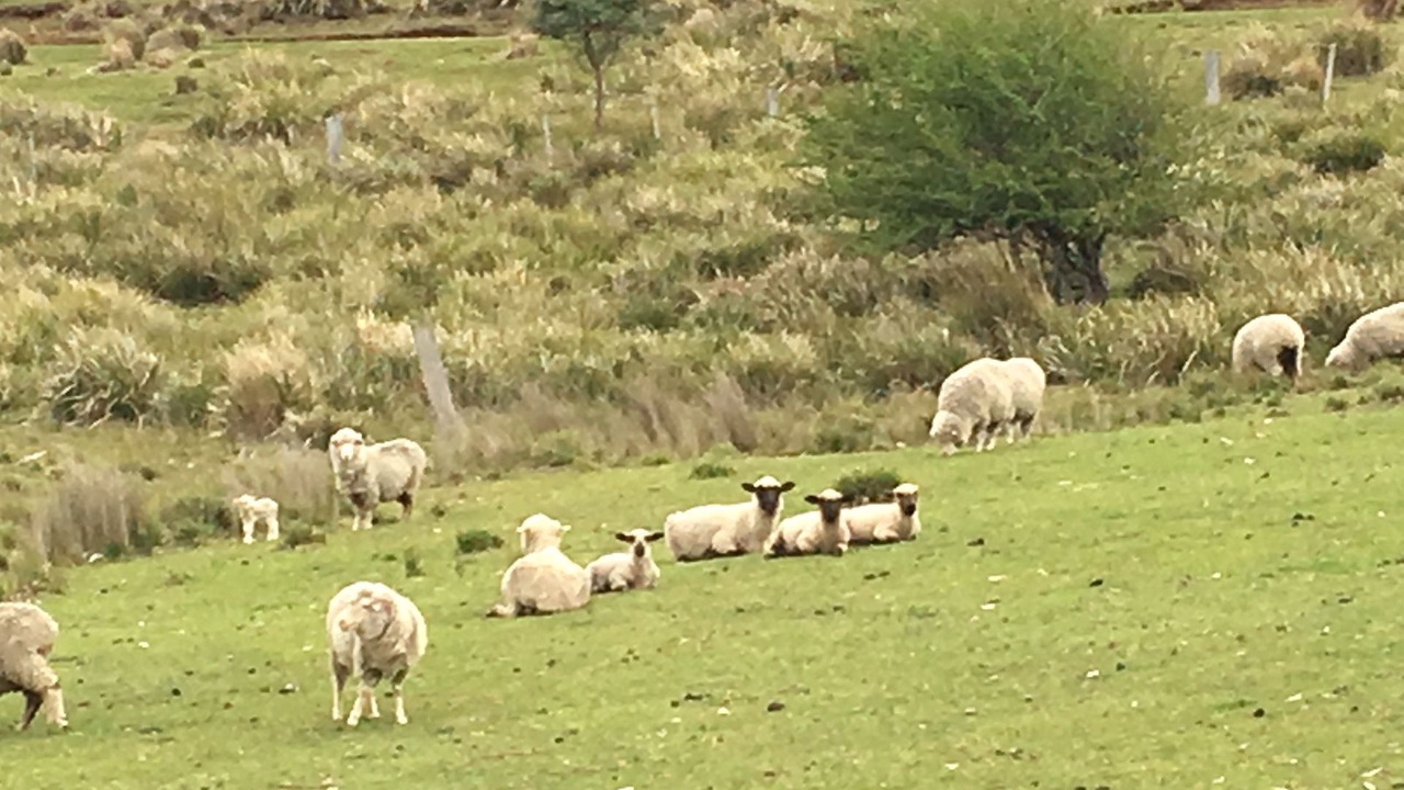 Photo of Outdoor in Buckland
