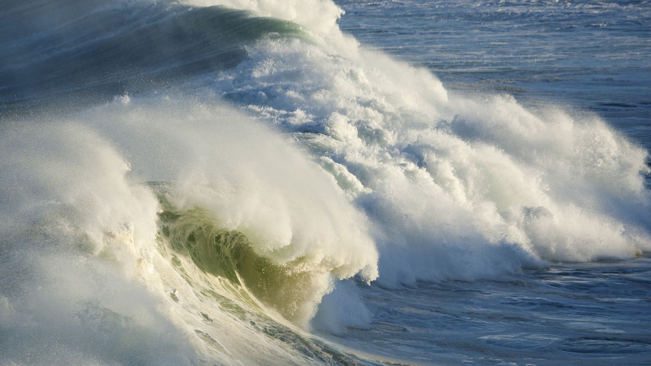 Photo of Others in North Bondi