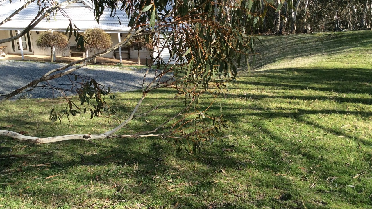 Photo of Others in Crackenback