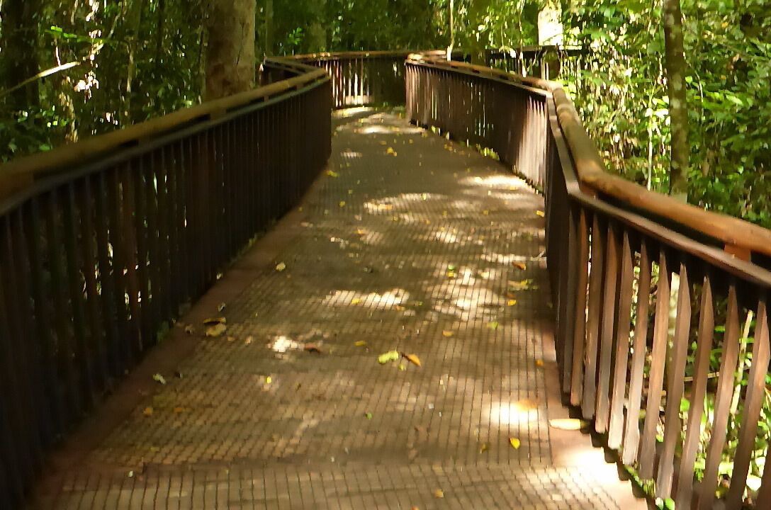 Photo of Others in North Johnstone