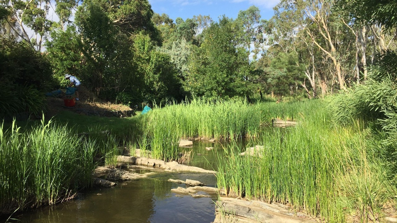 Photo of Others in Strathalbyn