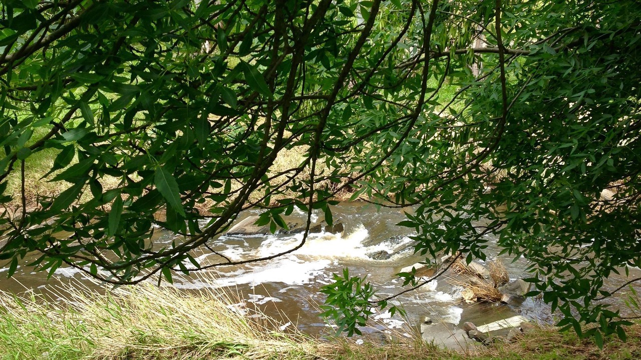 Photo of Others in Strathalbyn