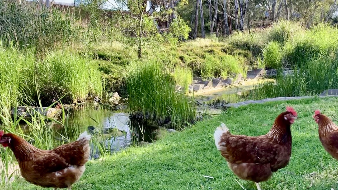 Photo of Others in Strathalbyn