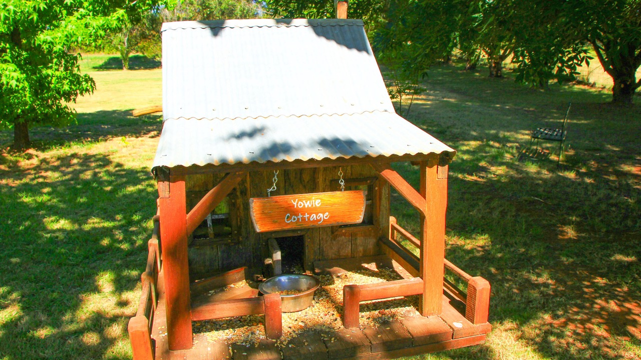 Photo of Outdoor in Calare