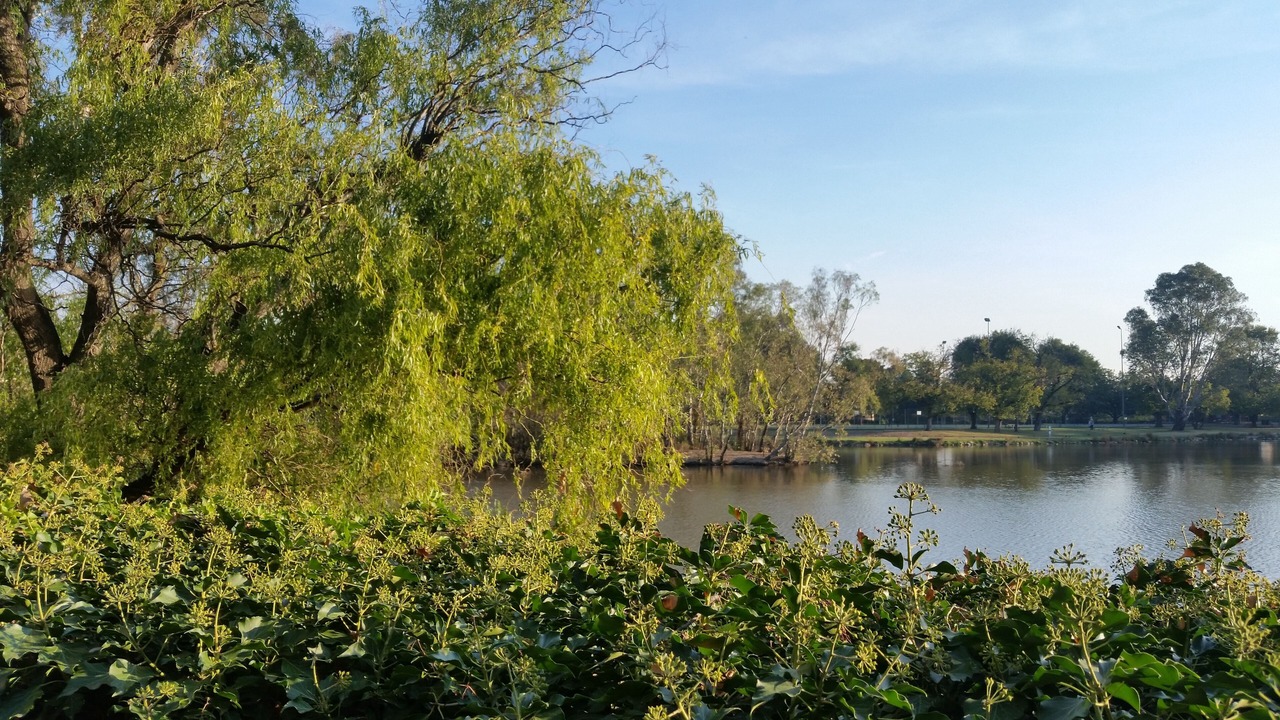 Photo of Others in Benalla