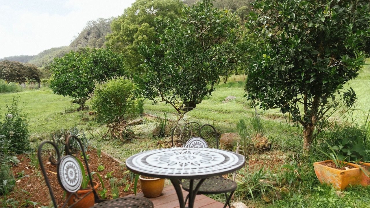 Photo of Outdoor in Wilsons Creek