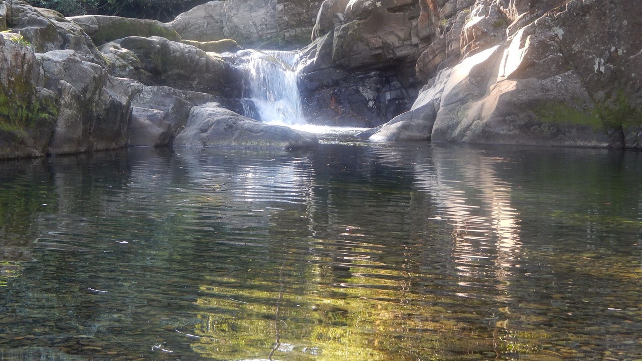 Photo of Others in Upper Allyn
