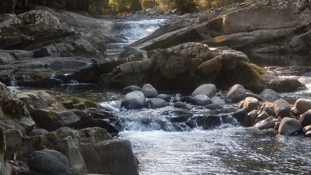 Photo of Others in Upper Allyn