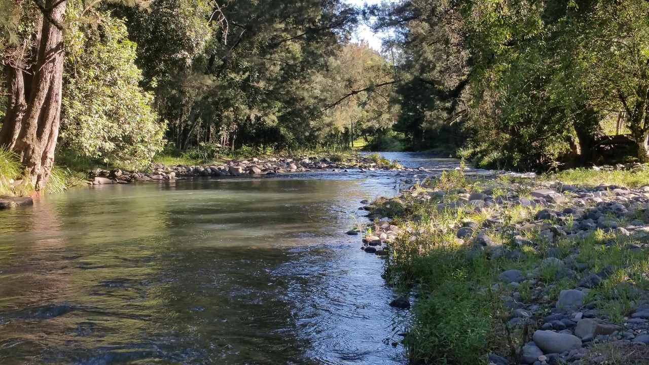 Photo of Others in Upper Allyn