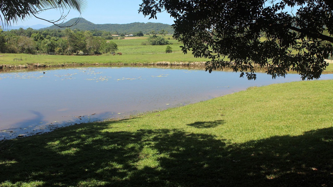 Photo of Others in Shannonvale