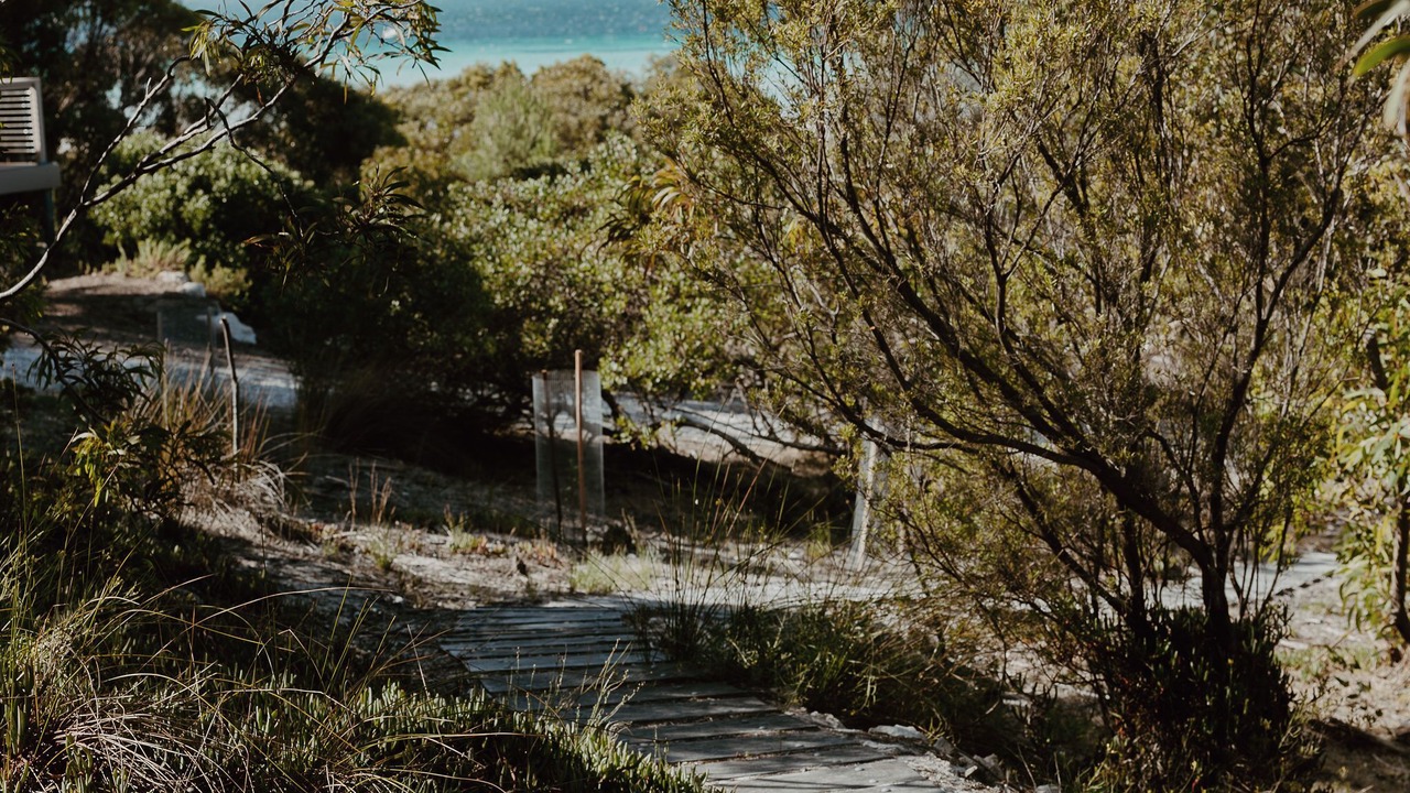 Photo of Outdoor in Island Beach