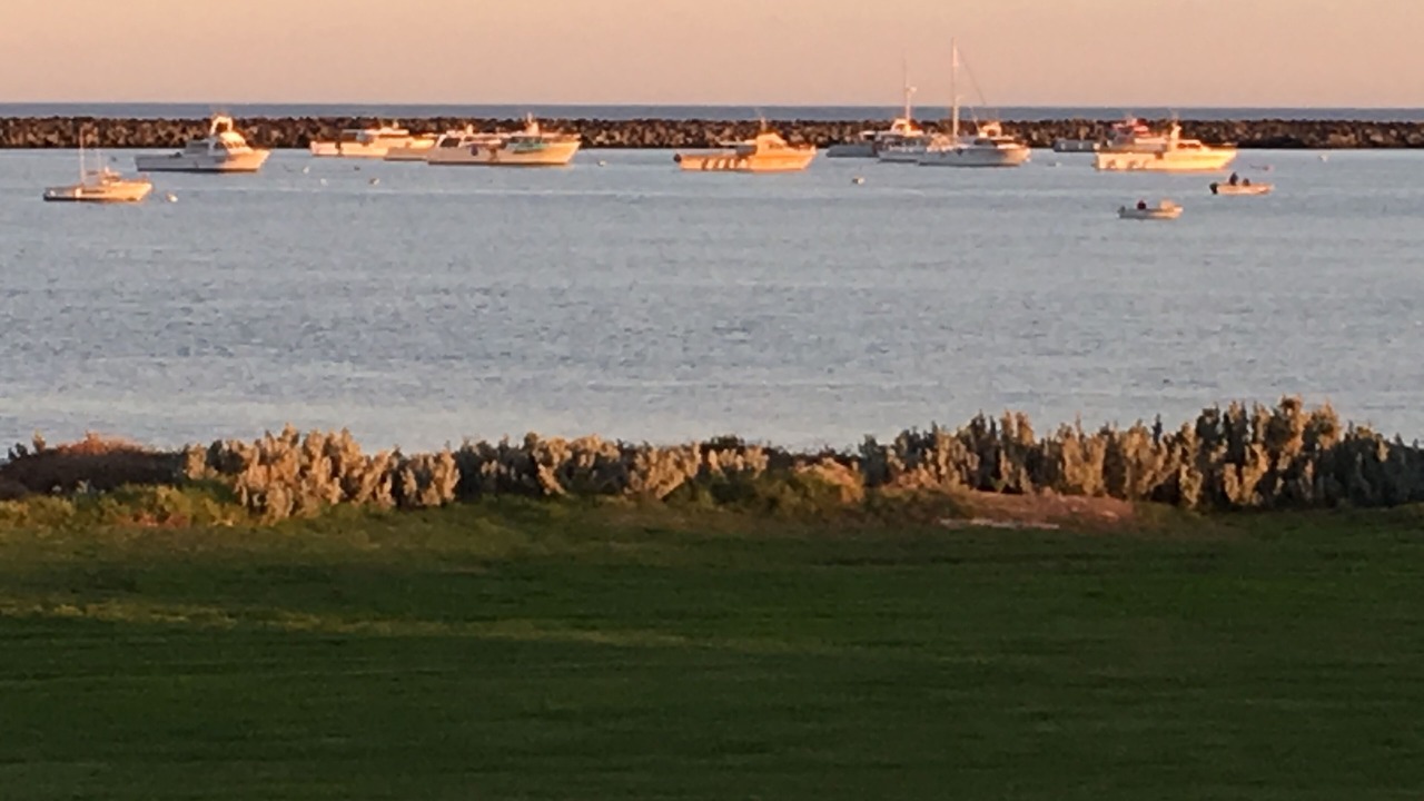 Photo of Others in Port Macdonnell