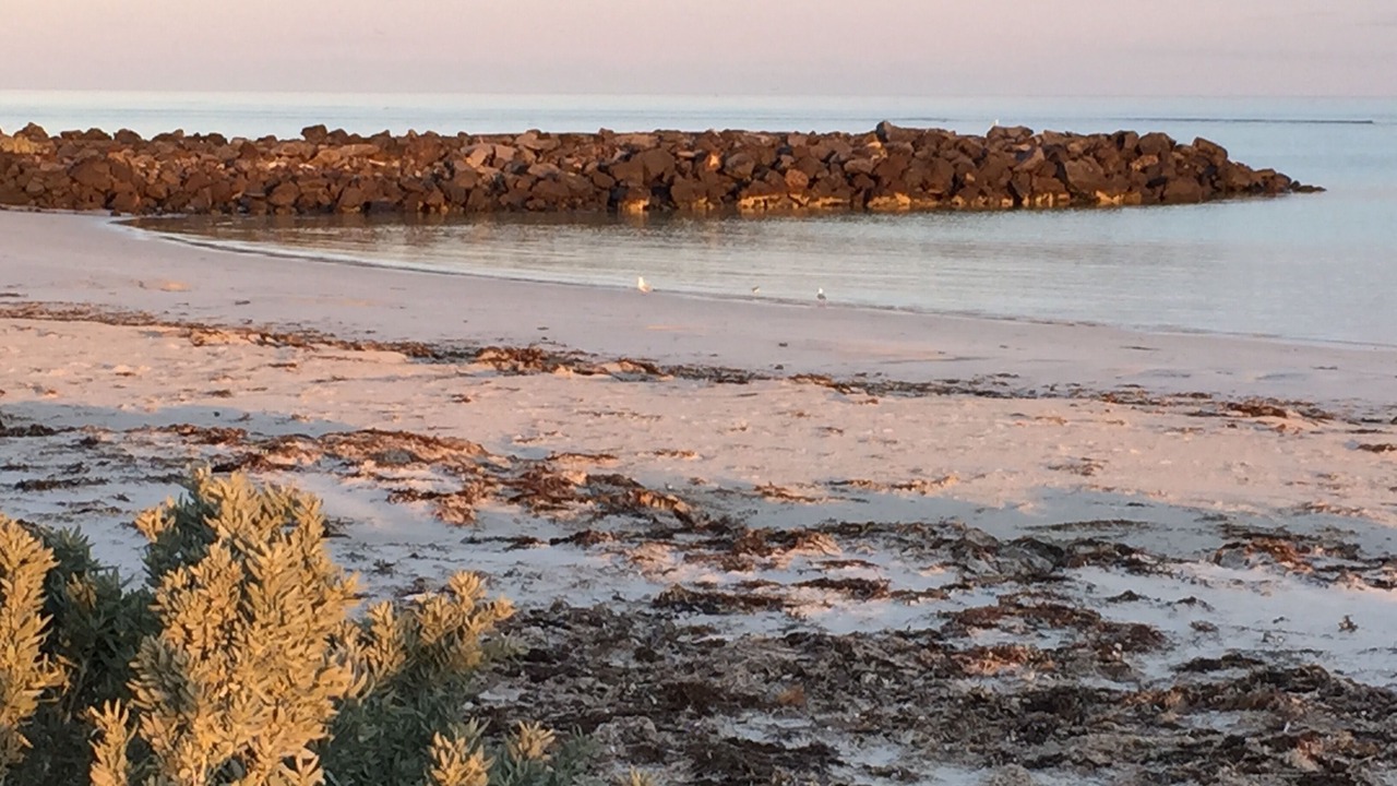 Photo of Others in Port Macdonnell