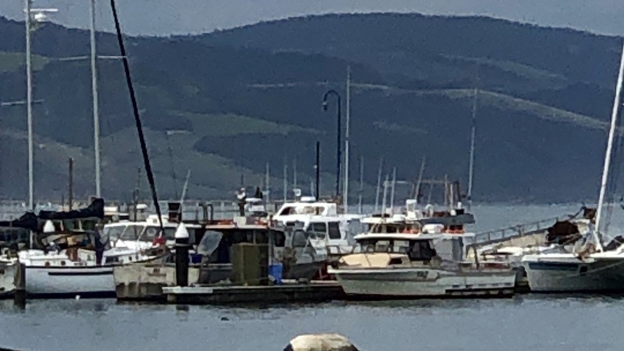 Photo of Others in Skenes Creek