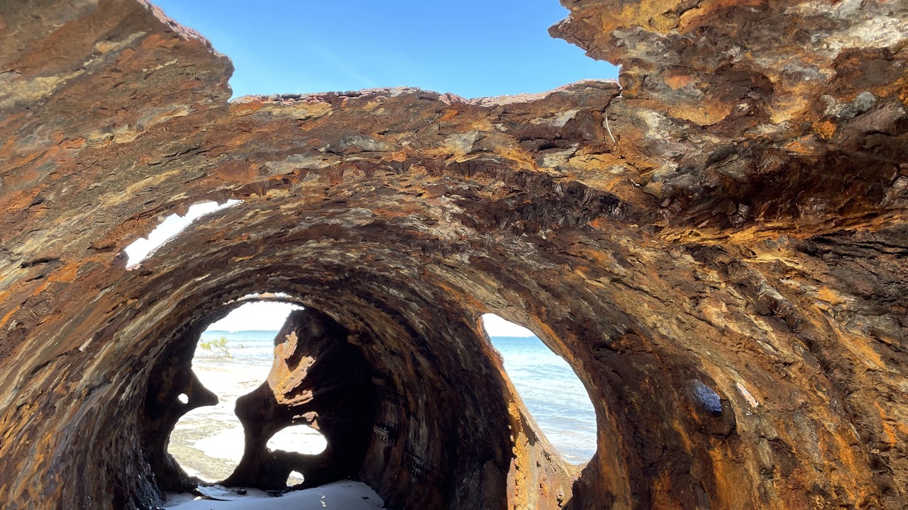 Photo of Others in Kingfisher Bay