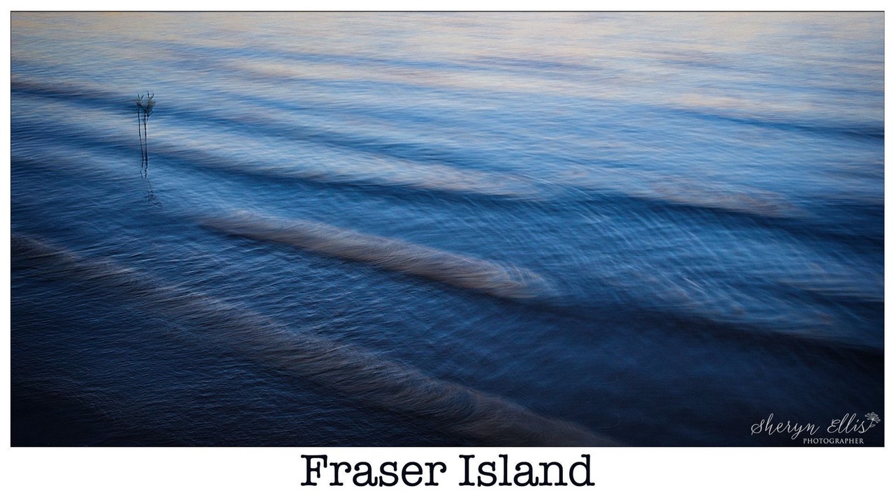 Photo of Others in Kingfisher Bay