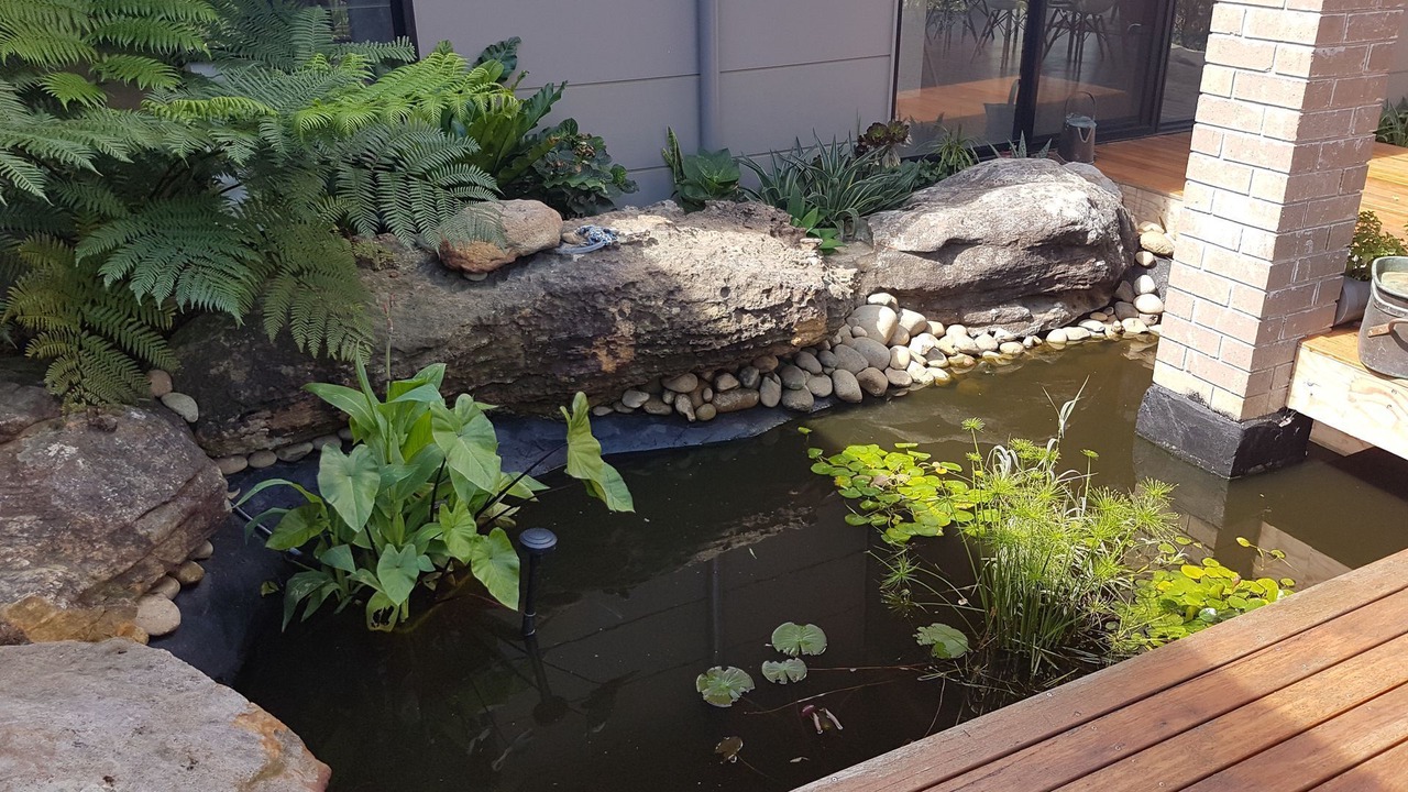 Photo of Outdoor in Berrilee