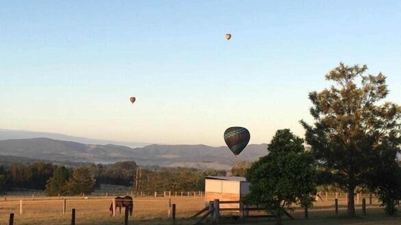 Photo of Others in Lovedale