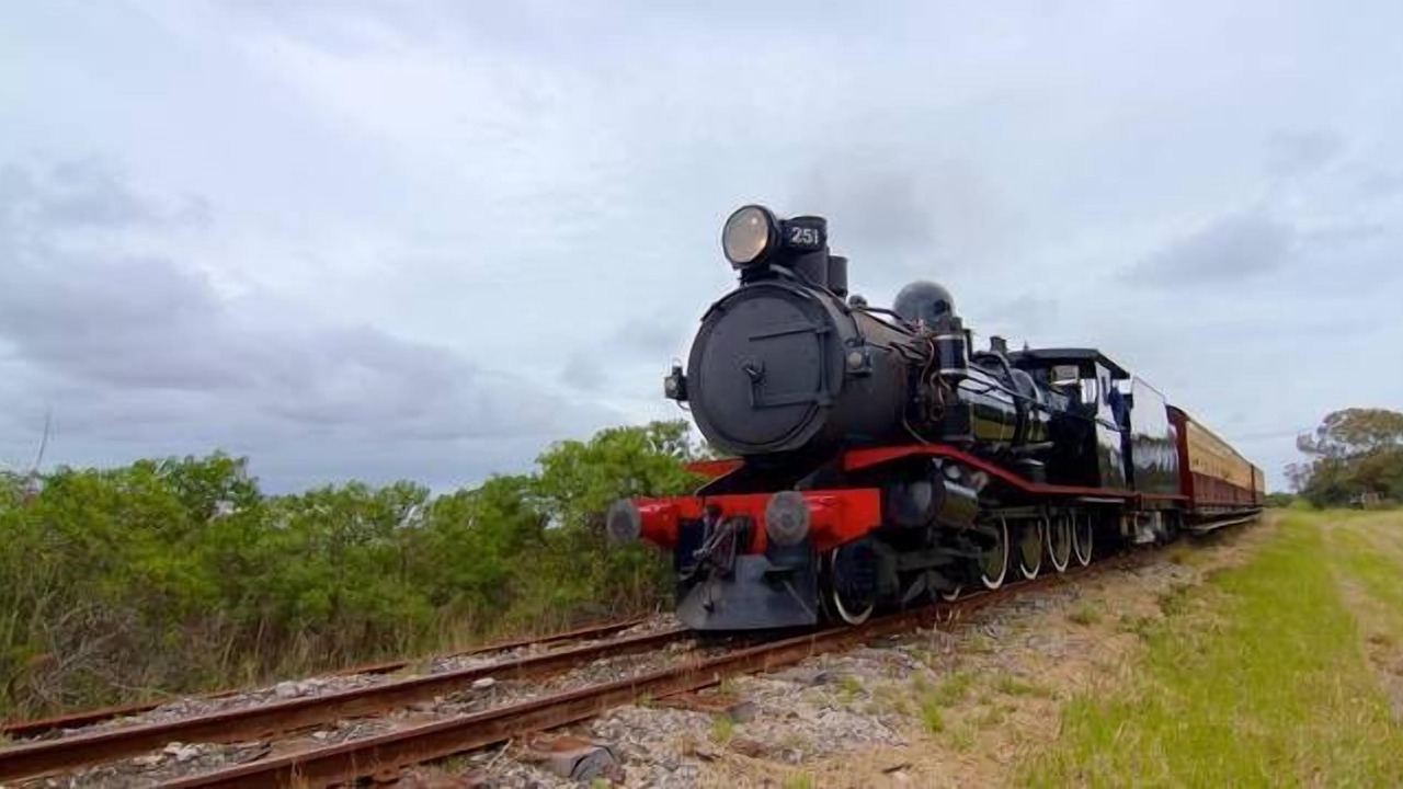 Photo of Others in Queenscliff