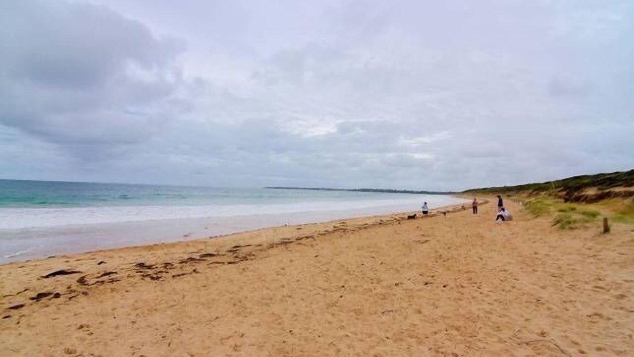 Photo of Others in Queenscliff