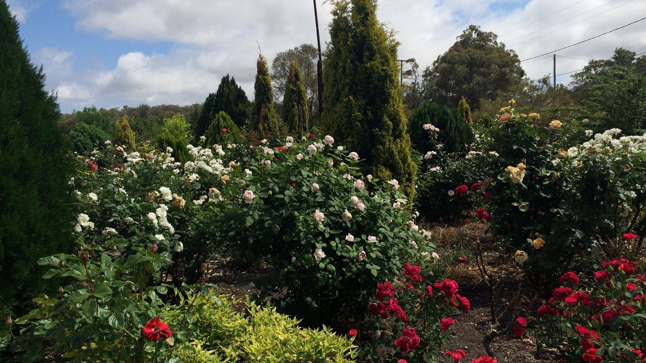 Photo of Outdoor in Stanthorpe
