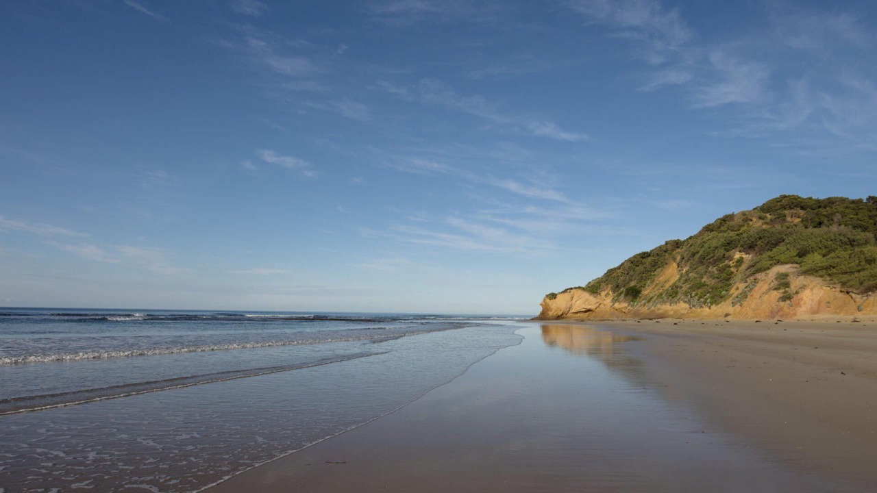Photo of Others in Anglesea