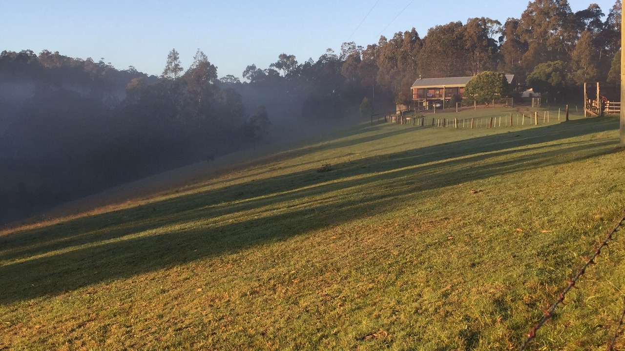 Photo of Outdoor in Mount View