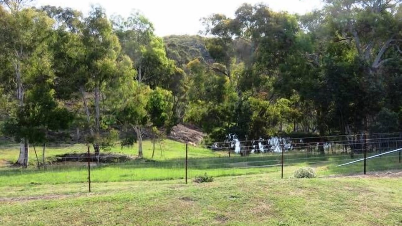Photo of Outdoor in Oberon Council