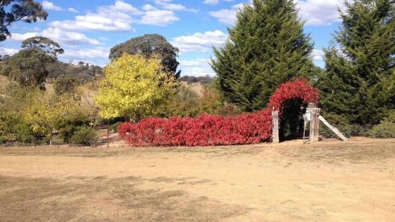Photo of Others in Oberon Council