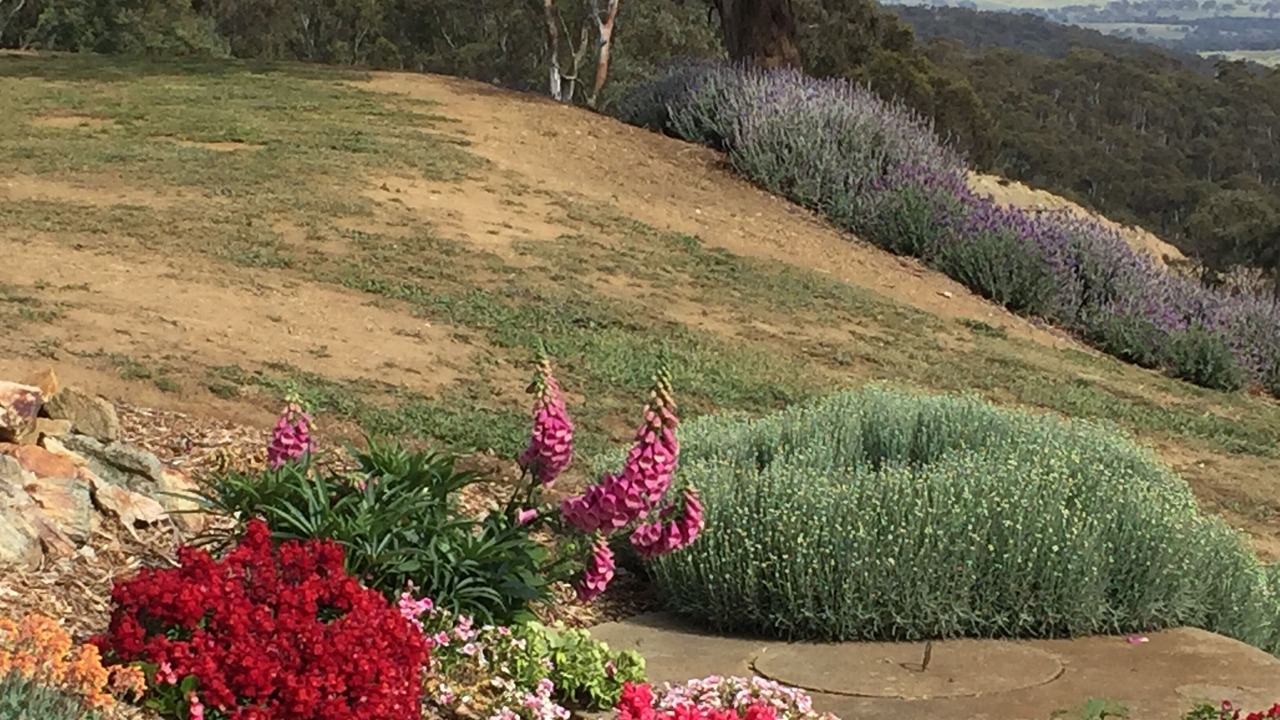 Photo of Outdoor in Oberon Council