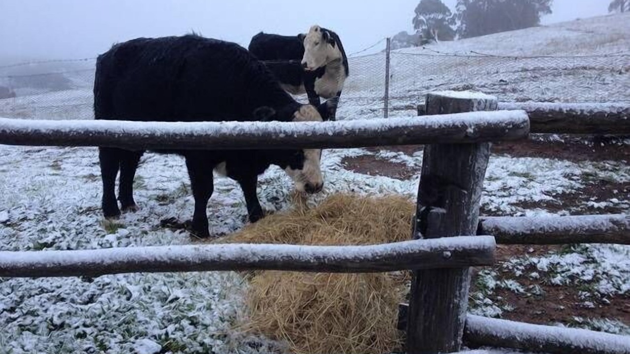 Photo of Outdoor in Oberon Council