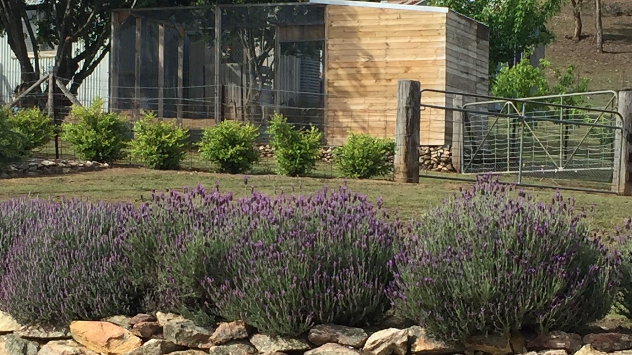 Photo of Outdoor in Oberon Council