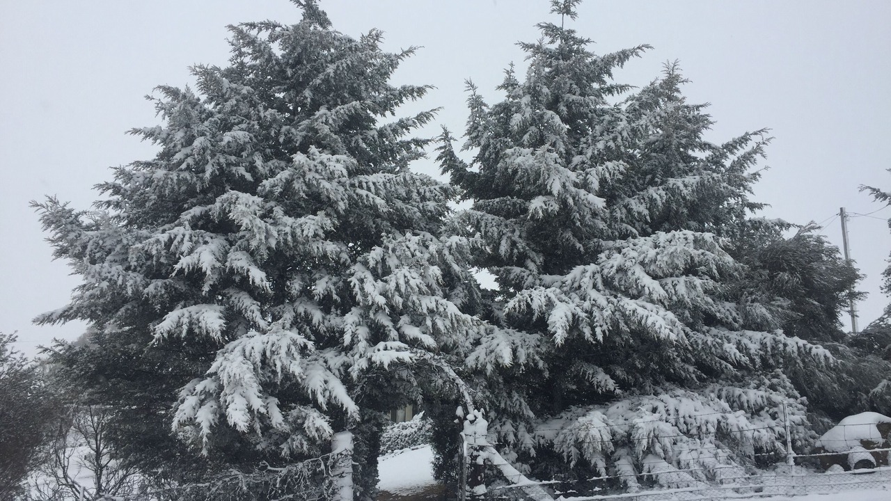 Photo of Outdoor in Oberon Council