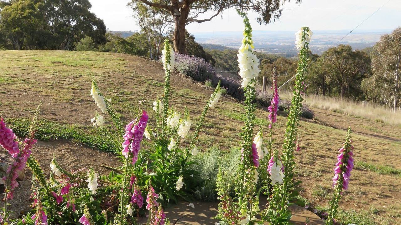 Photo of Outdoor in Oberon Council