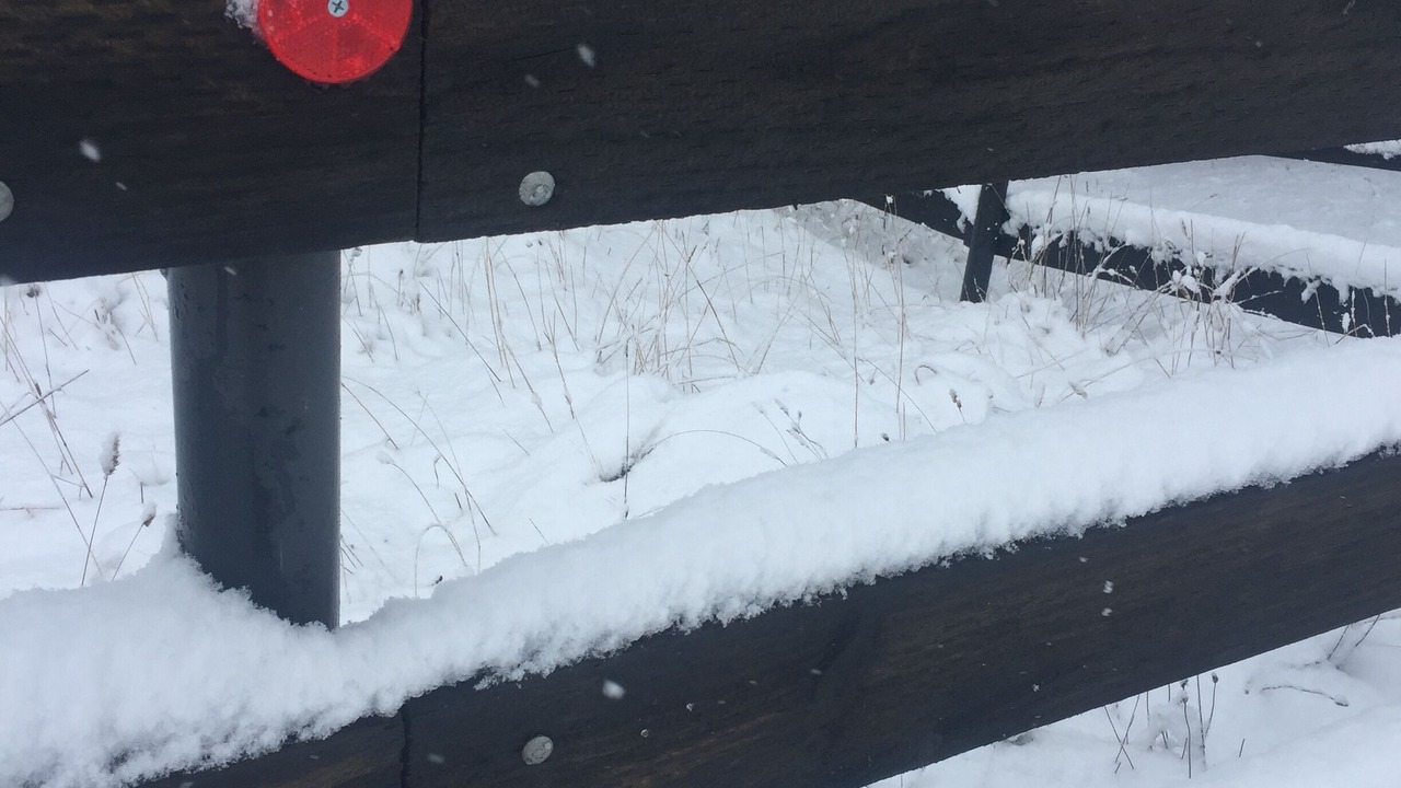 Photo of Outdoor in Oberon Council
