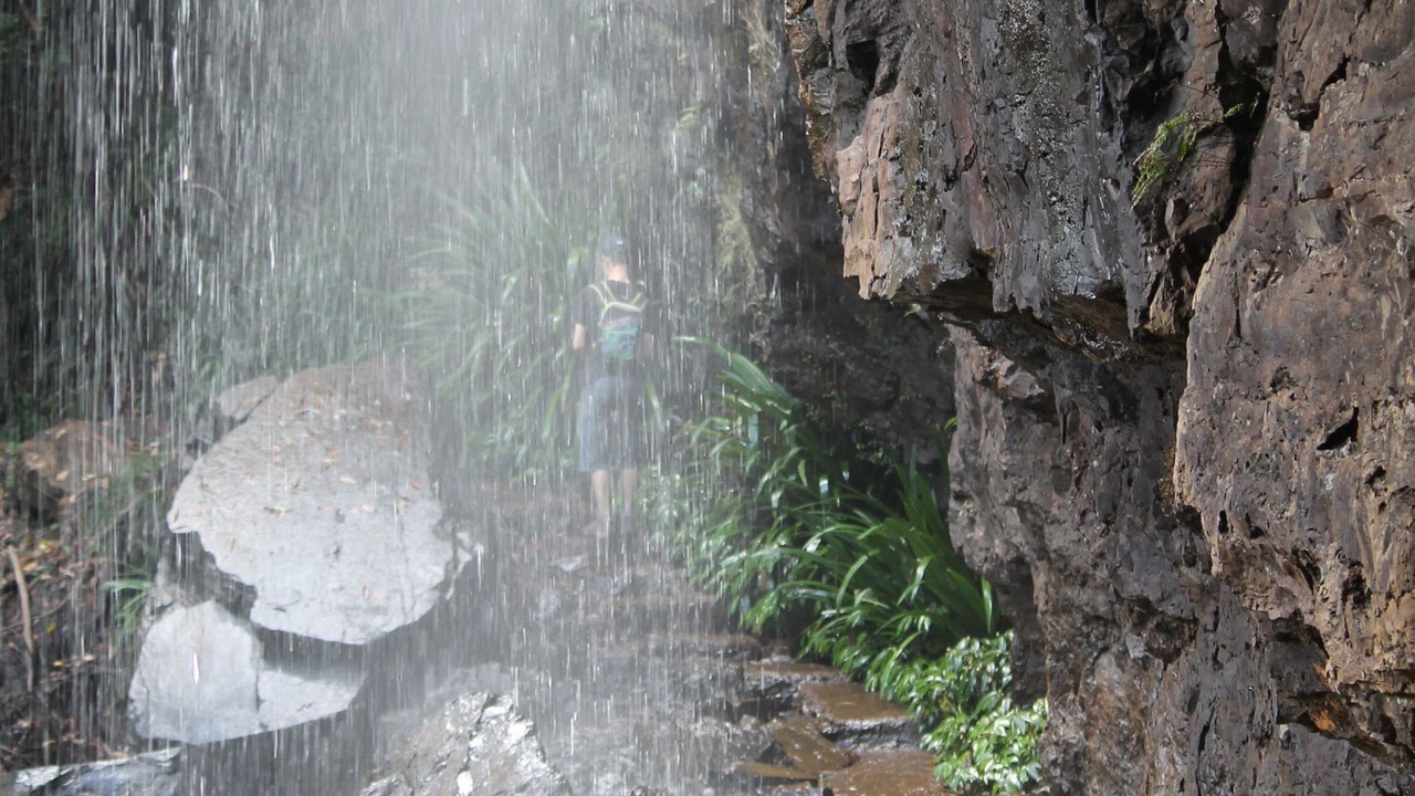 Photo of Outdoor in Springbrook