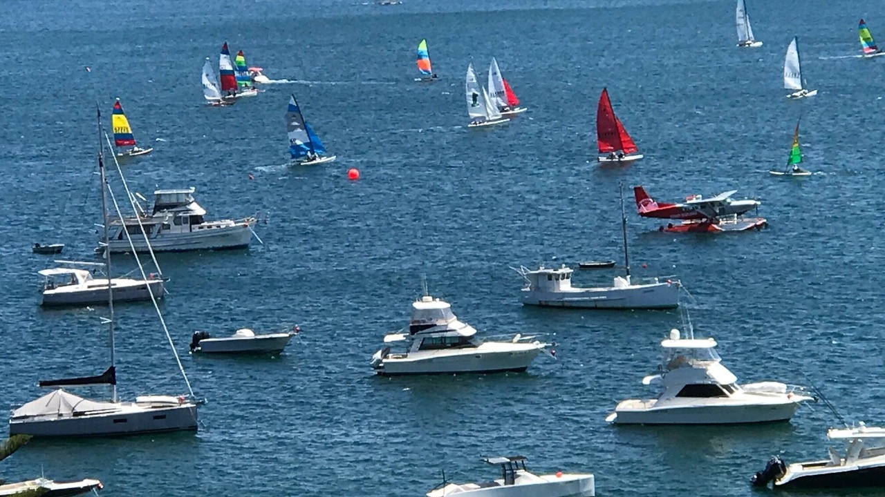 Photo of Others in Palm Beach