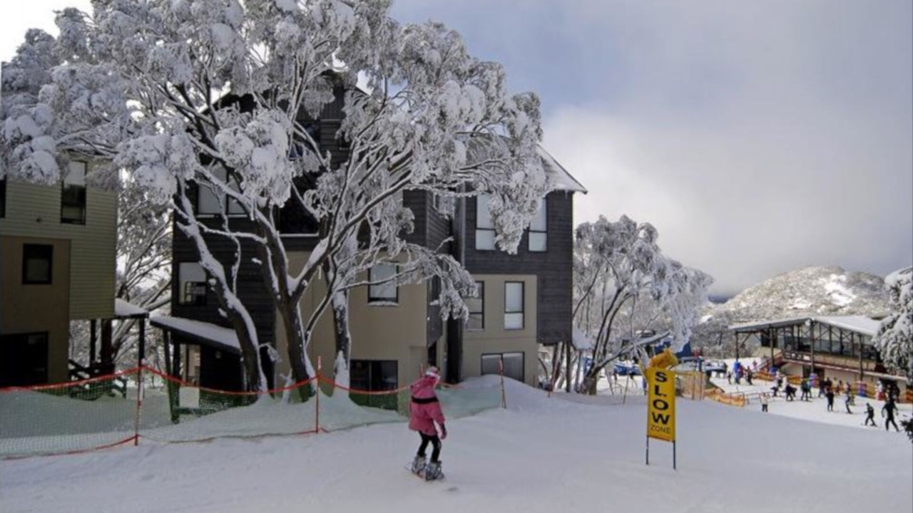 Photo of Others in Hotham Heights