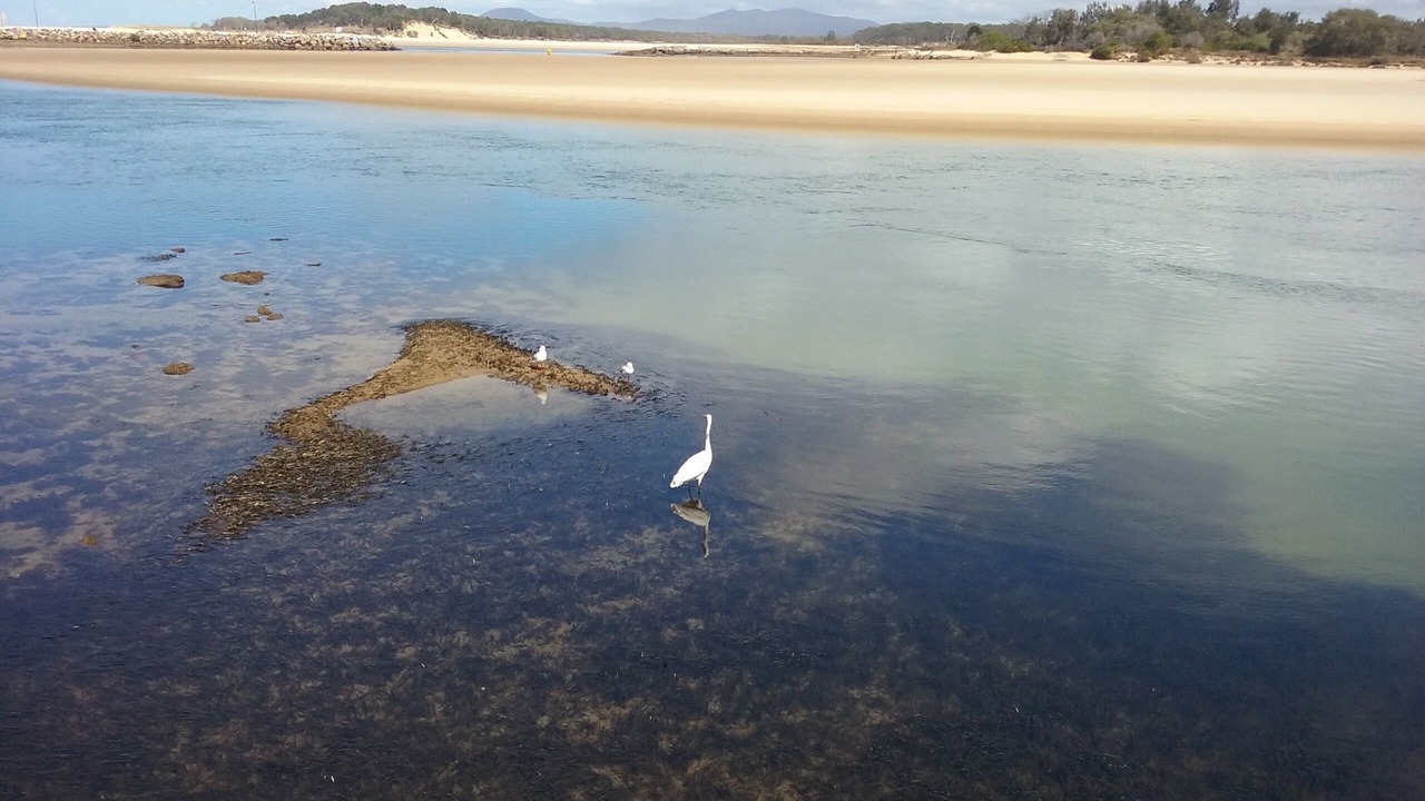 Photo of Others in Nambucca Heads