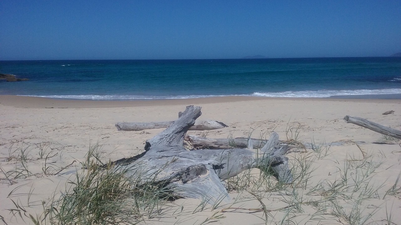 Photo of Others in Nambucca Heads