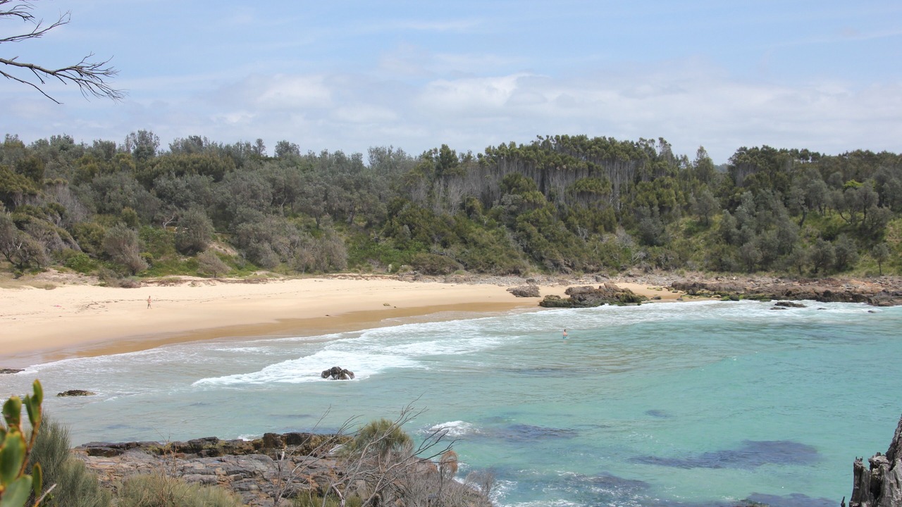 Photo of Others in Bingie