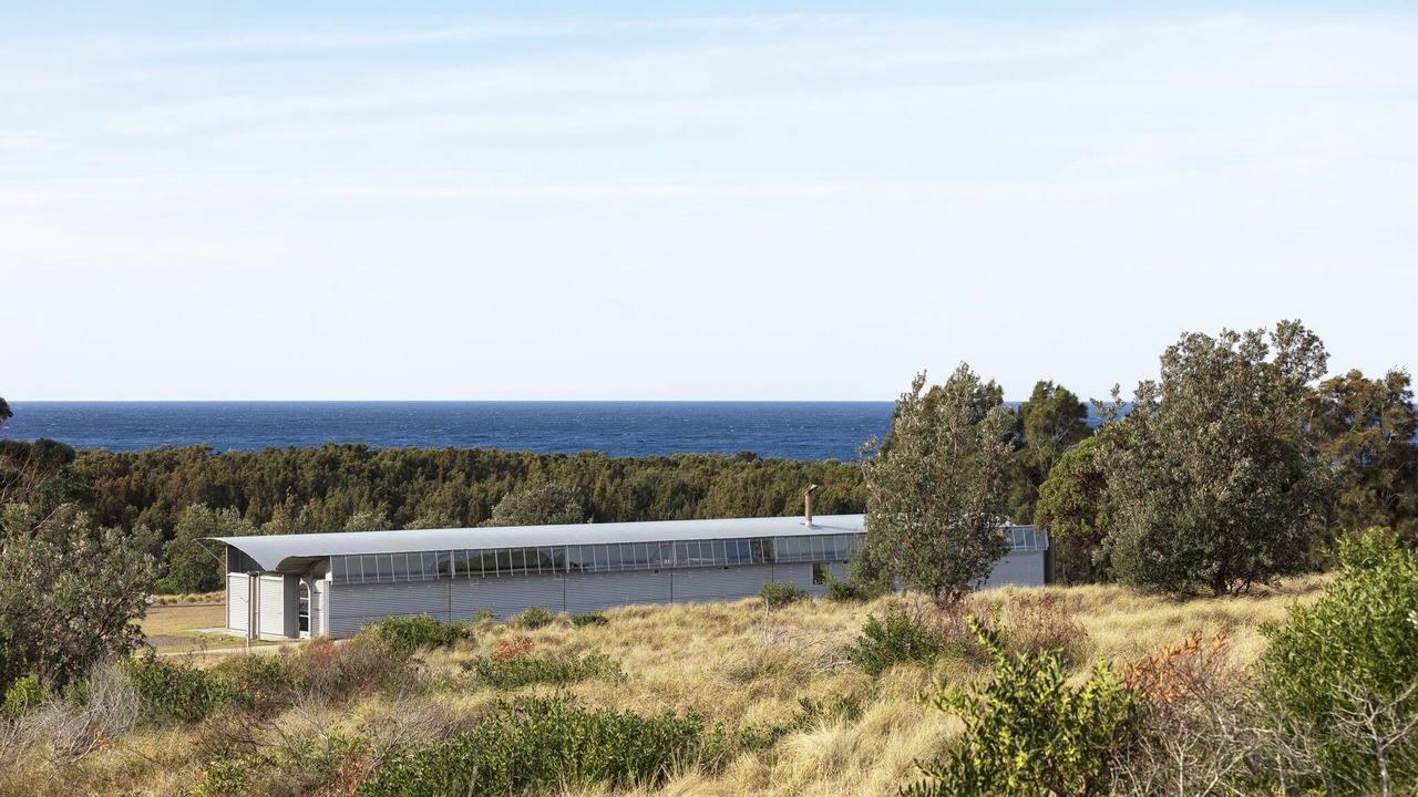 Photo of Outdoor in Bingie