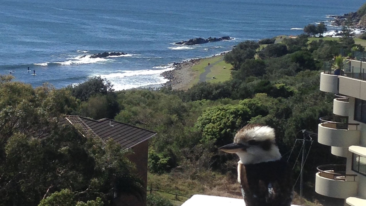 Photo of Others in Forster
