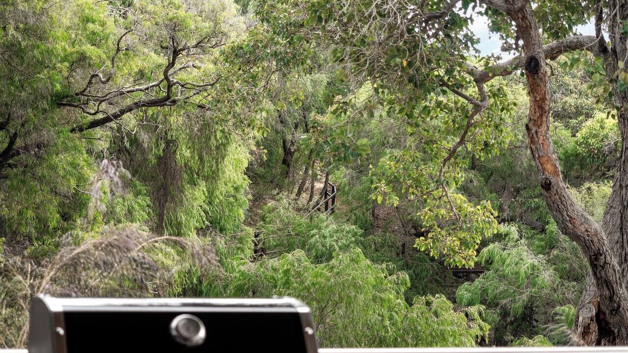 Photo of Outdoor in Yallingup