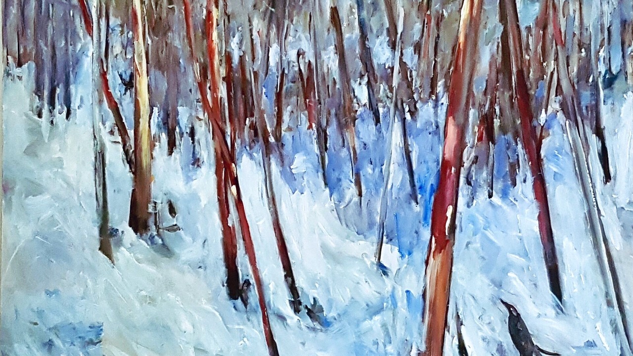 Photo of Others in Thredbo