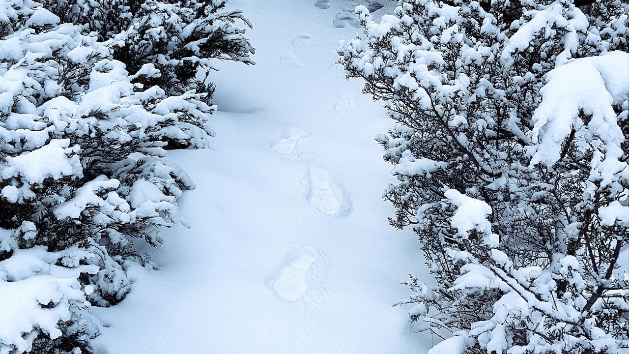 Photo of Outdoor in Thredbo